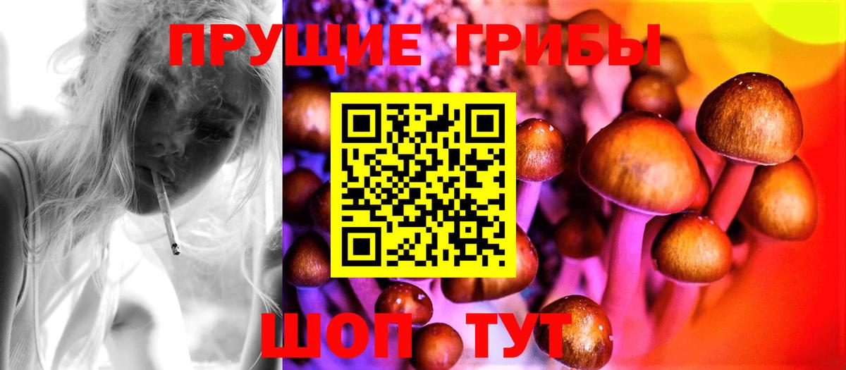 Псилоцибиновые грибы мицелий  магазин продажи   Галлюциногенные грибы MAGIC MUSHROOMS  Аксай  Вход с VPN 